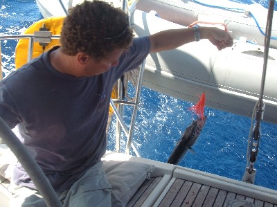 Me catching a barracuda.