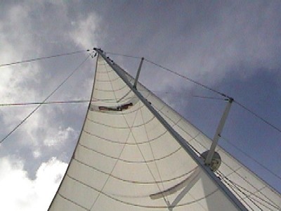 View of Andiamo's sails, in near perfect trim...
