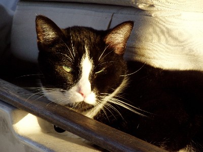 Here's the shot of Cosmo
