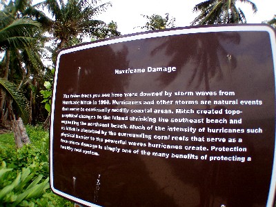 hurricane damage sign
