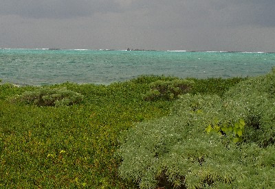 shipwreck lying on the reef