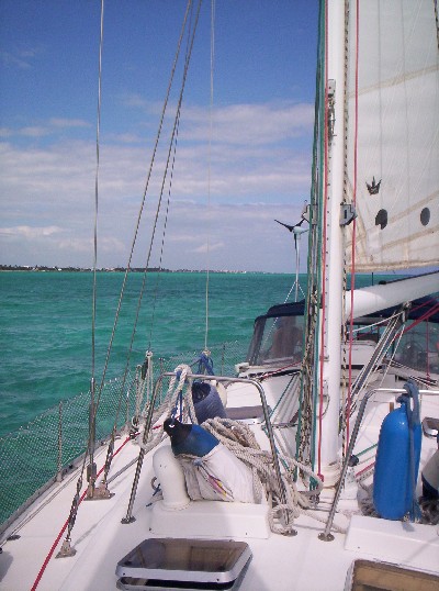 a shot from the deck