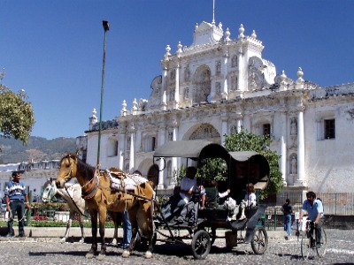 Horse and buggy