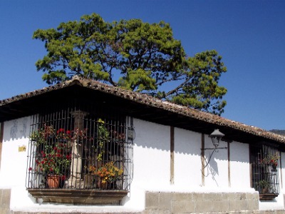 Window
