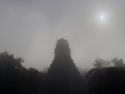 Tikal in Fog