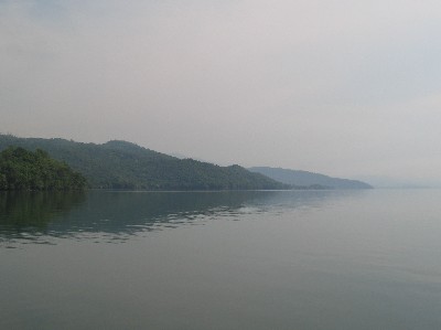 A shot of the Lago Izabal coastline