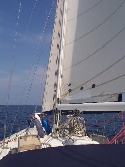 Andiamo under sail